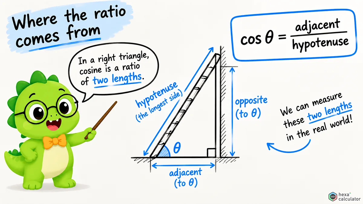 Cos explainer
