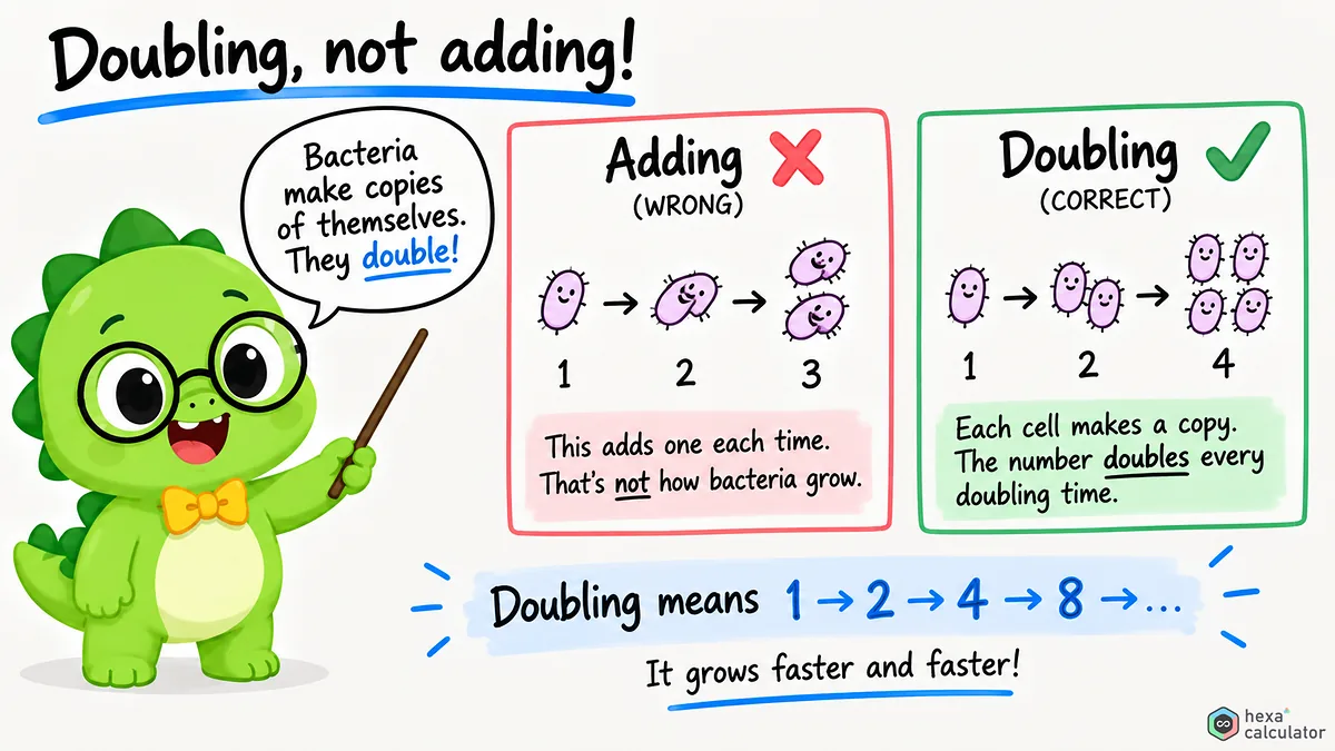 Bacteria Growth - Doubling