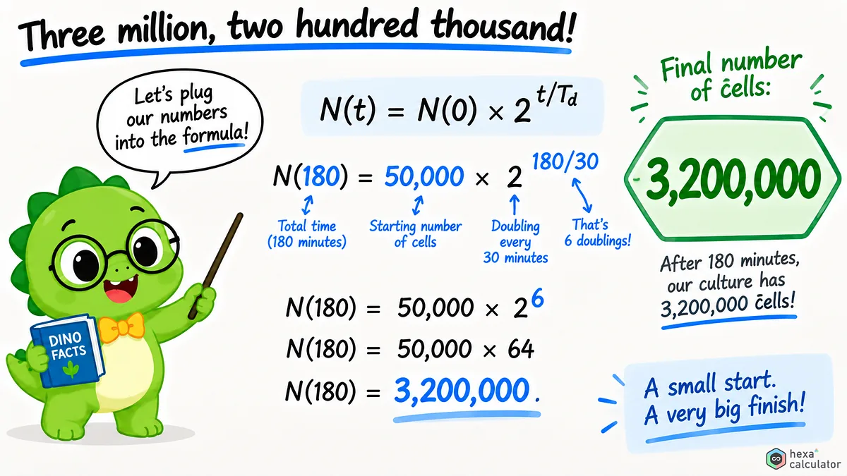 Bacteria Growth - Calculation