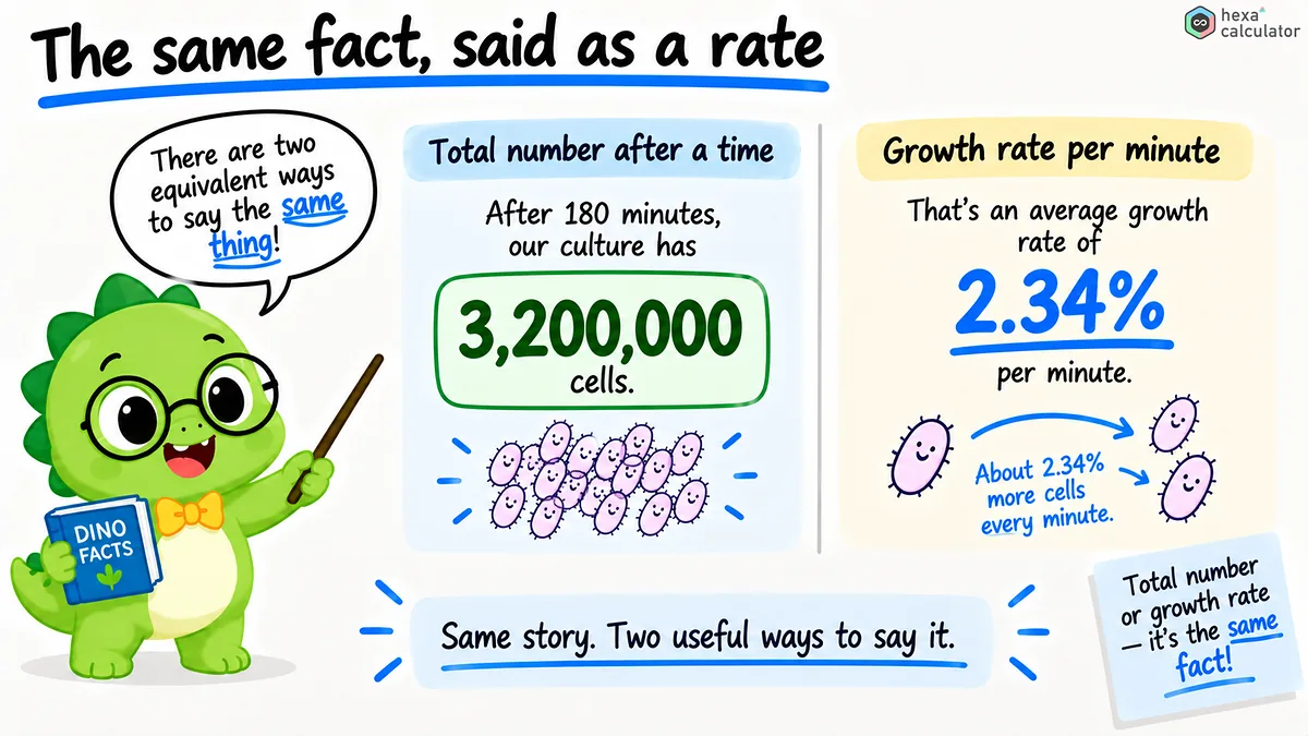 Bacteria Growth - Rate