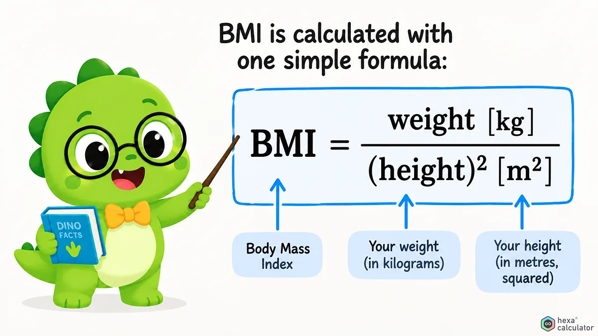 BMI Formula BMI Formula