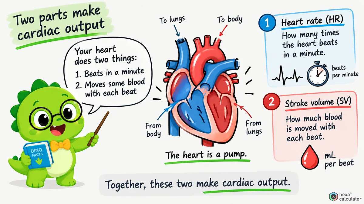 Cardiac Output Parameters