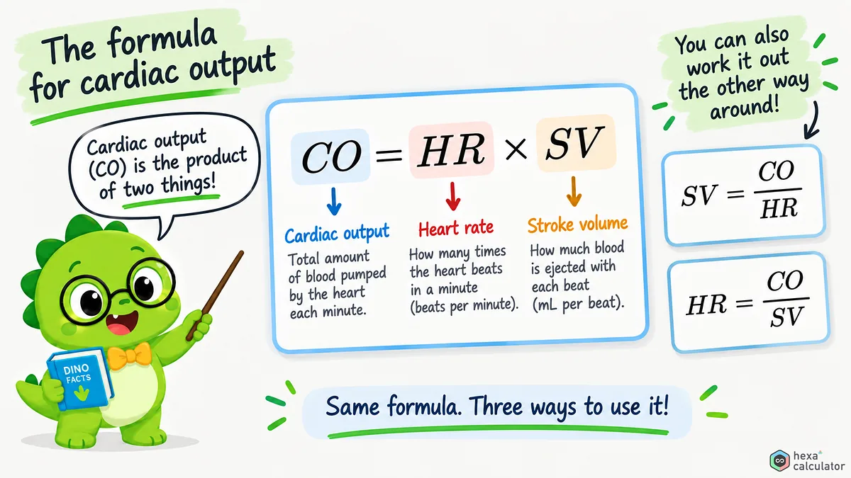 Cardiac Output Formula
