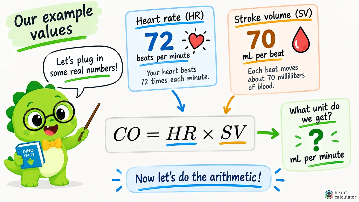 Cardiac Output Example