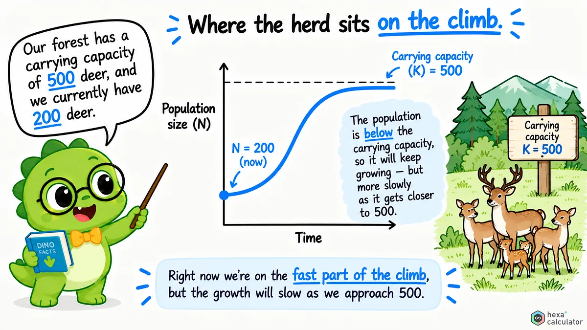 Carrying Capacity Understanding