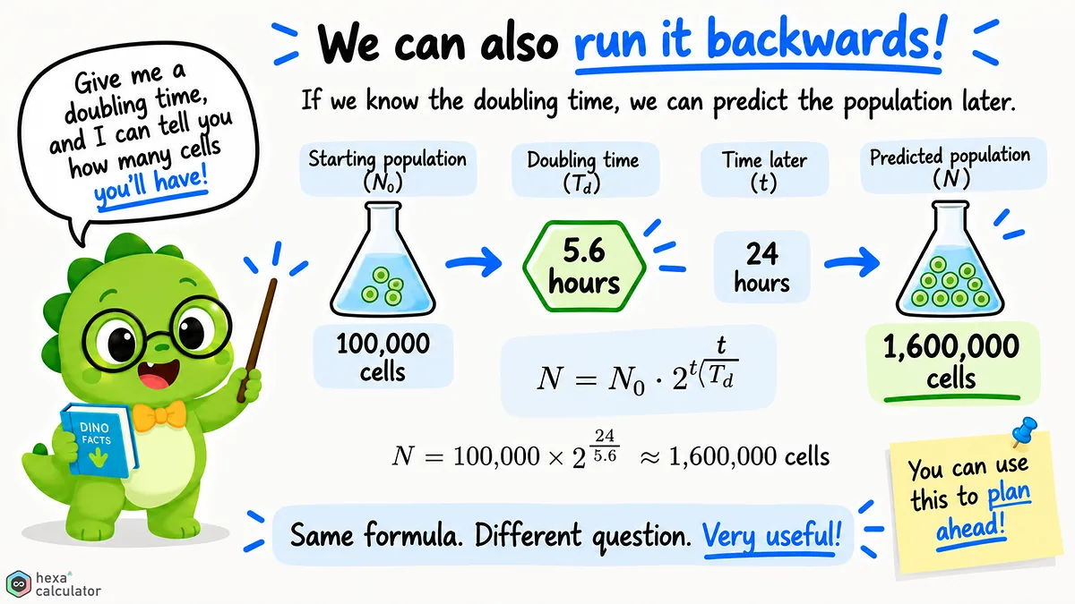 Cell Doubling Time Calculator