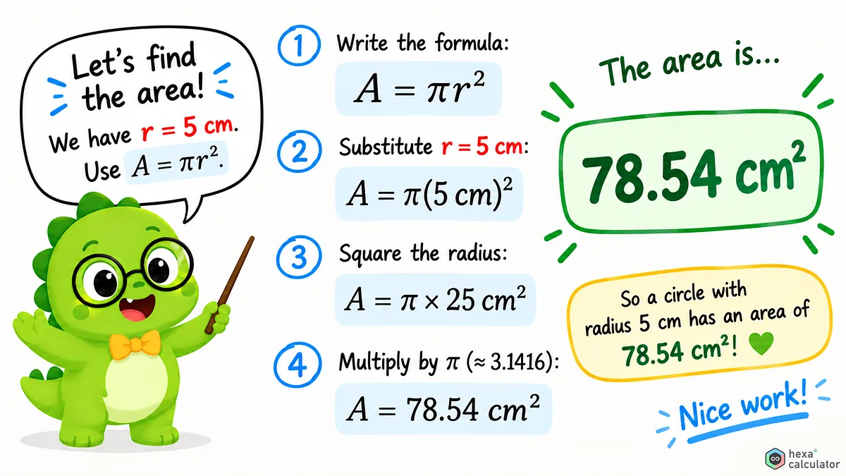 Circle Area Calculation