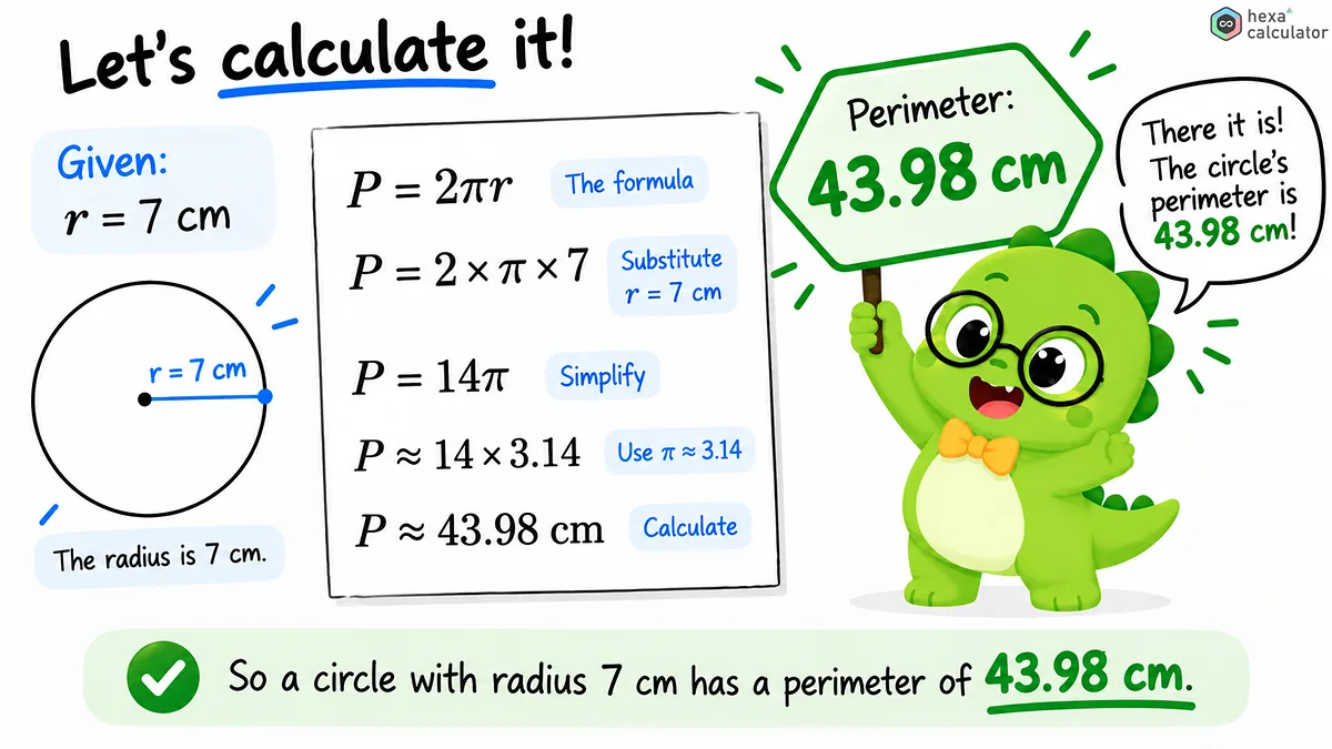 Circle Perimeter Calculation