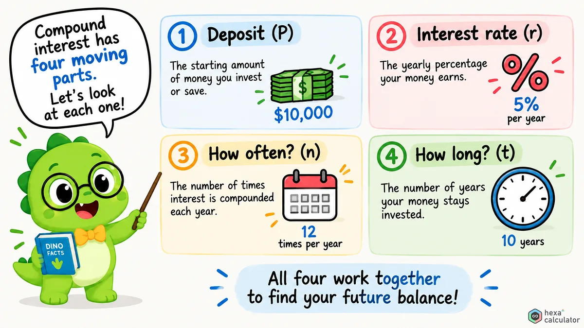 Compound Interest Explainer