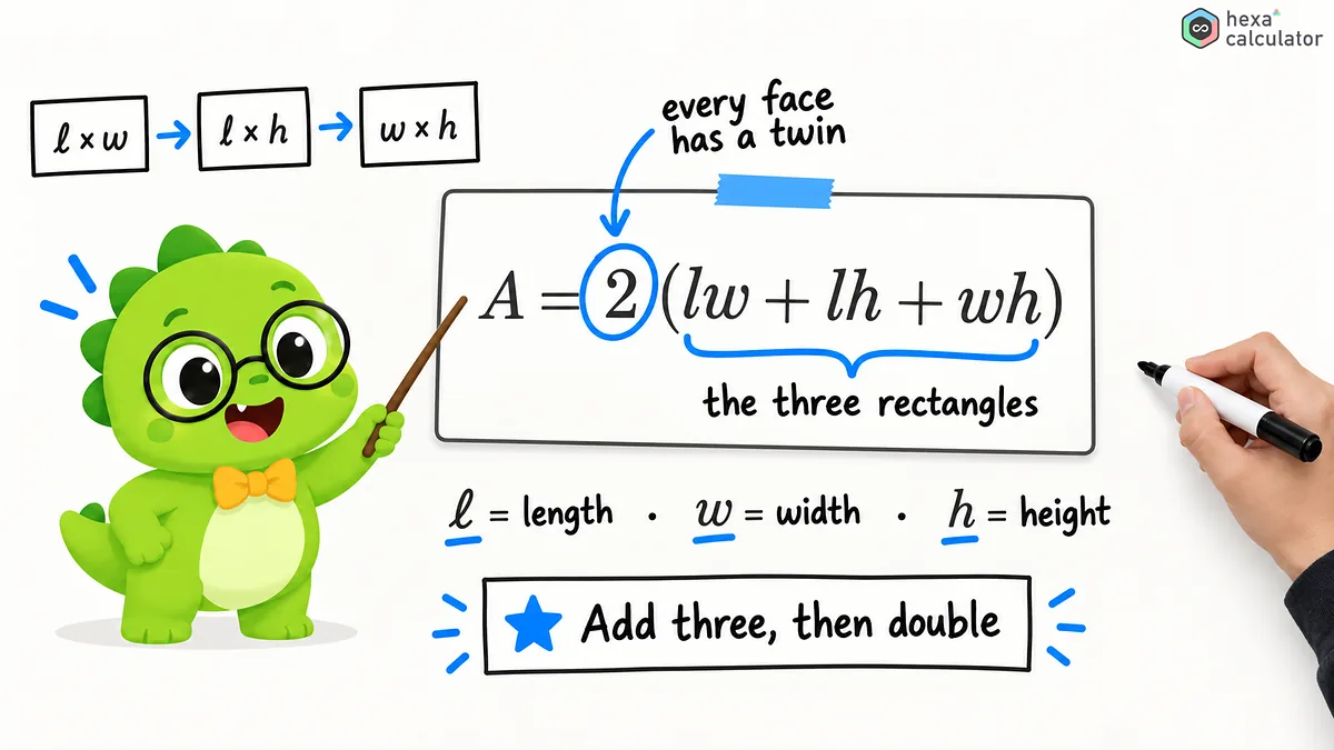 Cuboid Surface Area Formula
