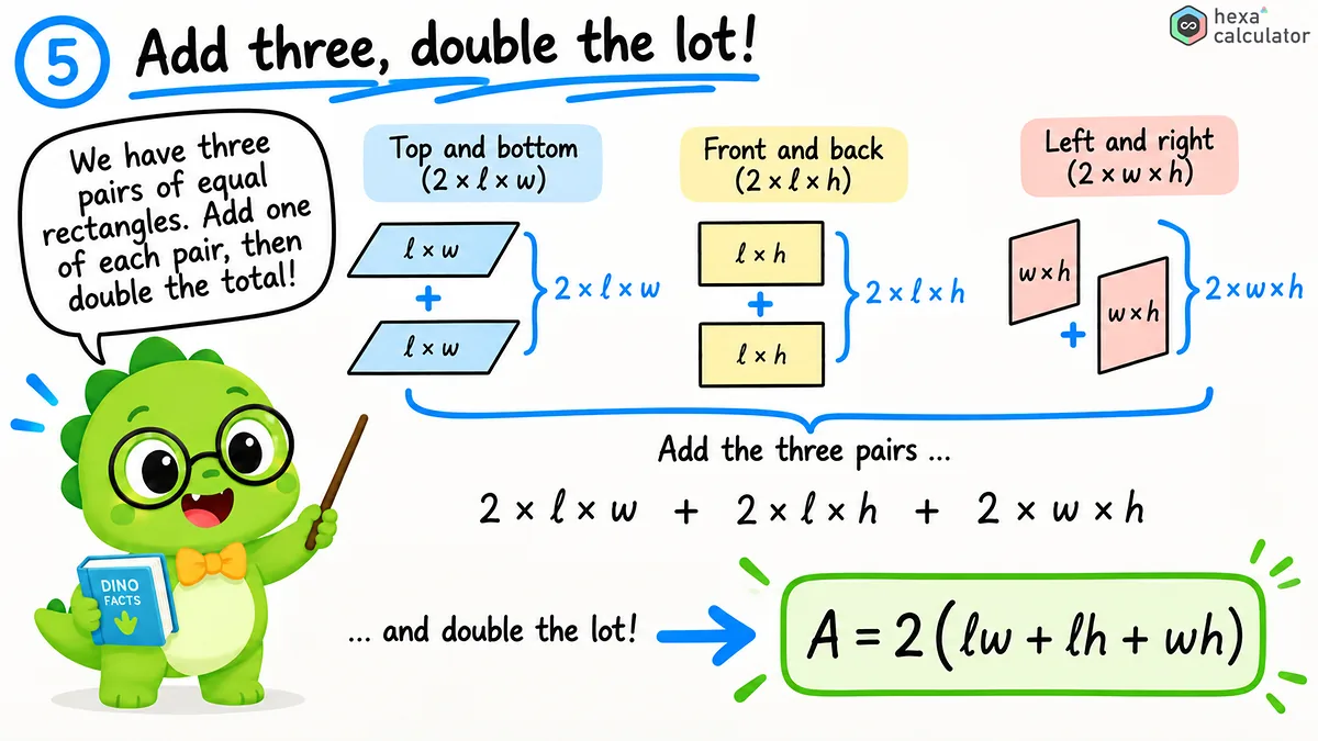 Cuboid Surface Area Formula Understanding