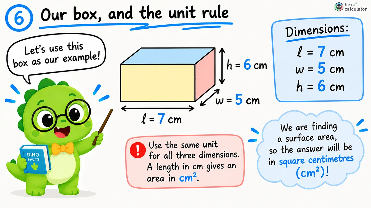 Cuboid Surface Area Example