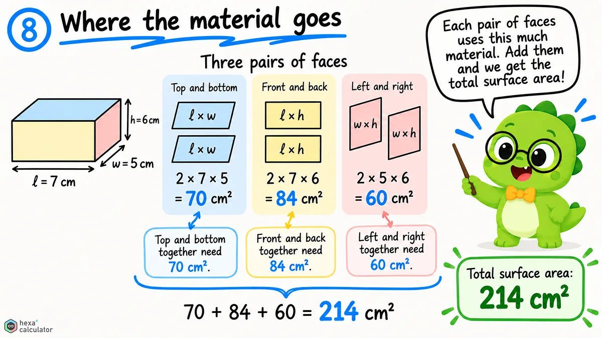 Cuboid Surface Area Explainer