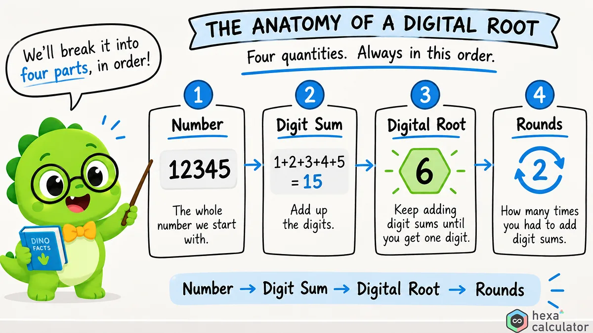 Digital Root Explainer