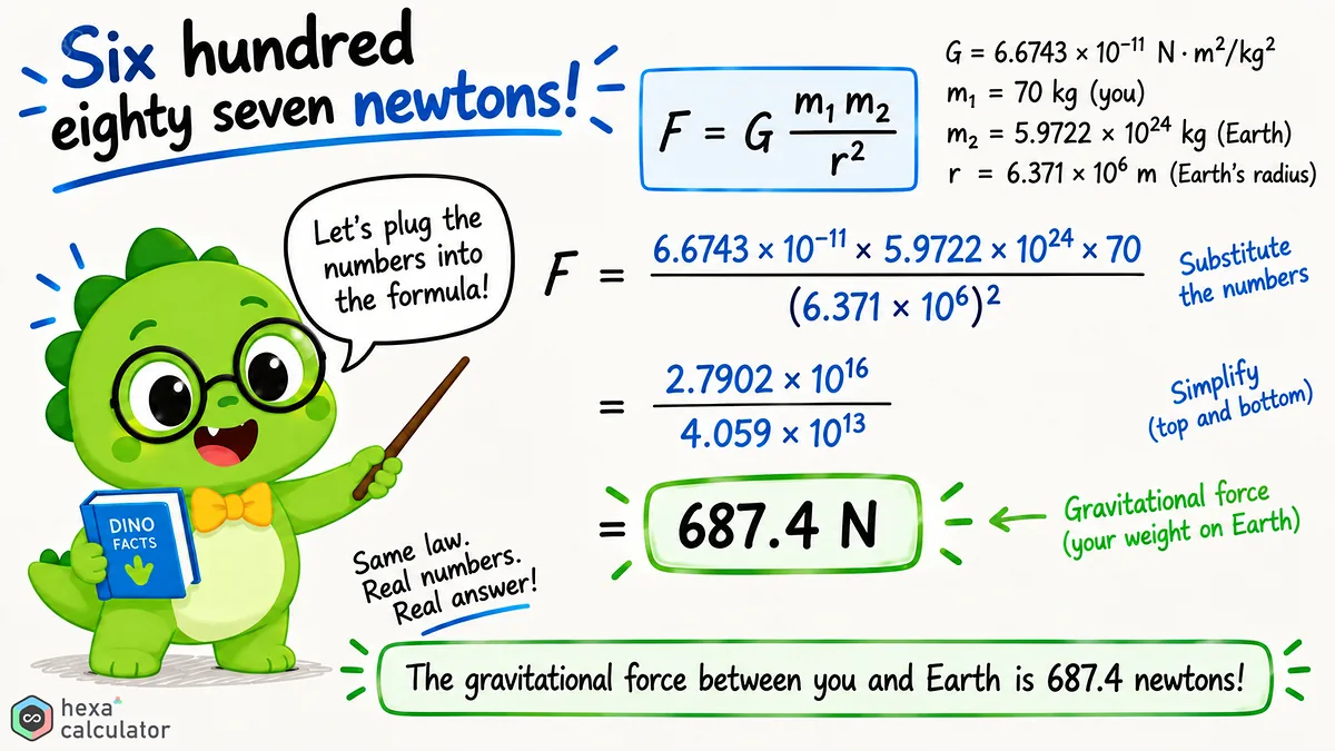 Gravitational Force Calculation